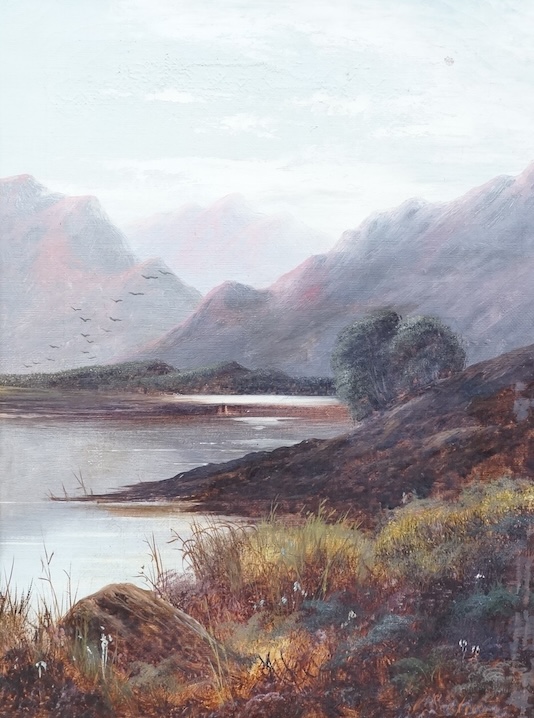 C. Leslie, Mountainous riverscape, signed, oil on canvas, 39 x 29cm, ornate gilt frame
